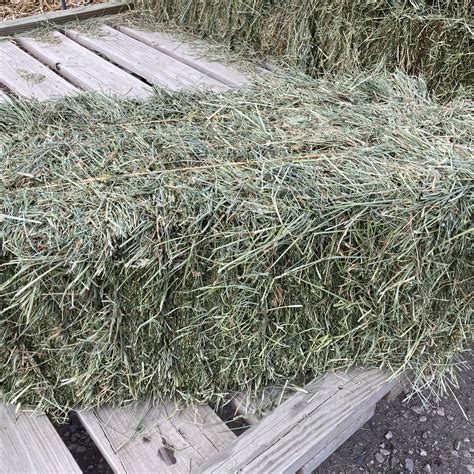 alfalfa mix hay for sale