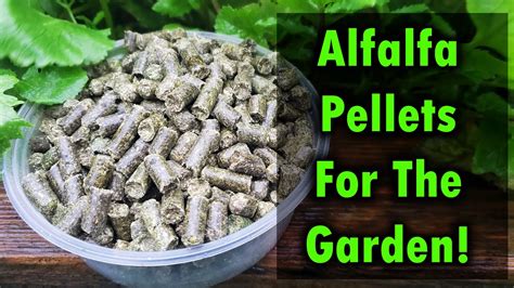 alfalfa pellets as fertilizer