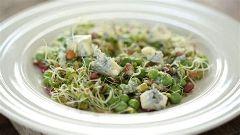 alfalfa sprout recipes