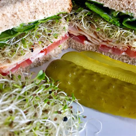 alfalfa sprouts on sandwiches