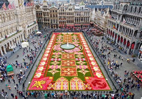 alfombra de flores bruselas