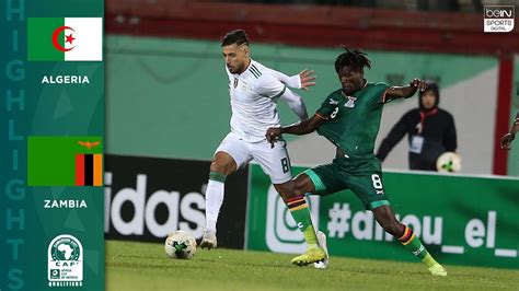 algeria vs zambia highlights
