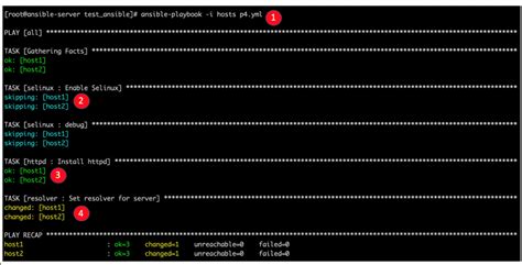 algo line 23 ansible playbook command not found