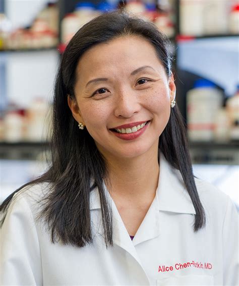 5 Ways Alice Chen Plotkin