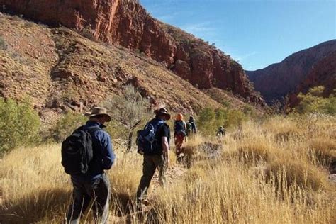 alice springs backpacking tours