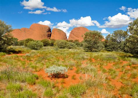 alice springs recovery - by the desert