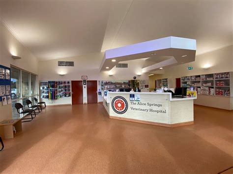 alice springs veterinary clinic