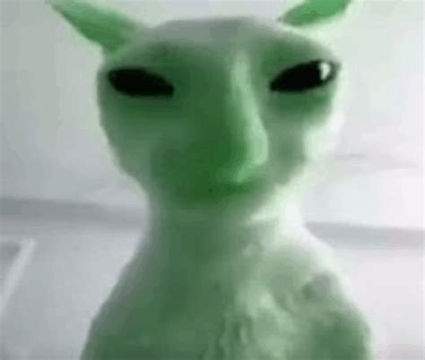 Alien Cat Meme
