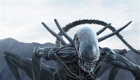 Alien Covenant 4k Ultra HD Wallpaper