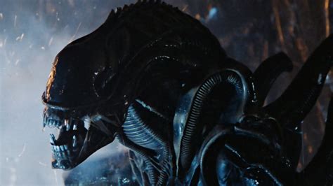alien film franchise review