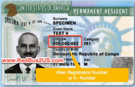 alien registration number/uscis number h1b
