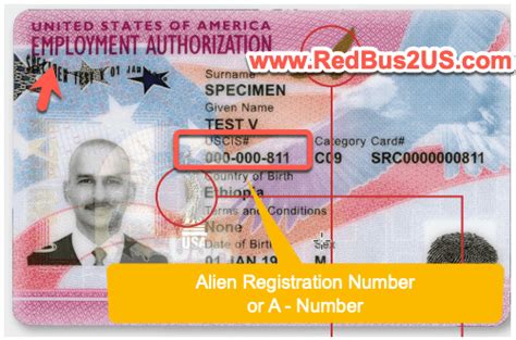 alien registration number h4 ead