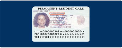 alien registration number i-551