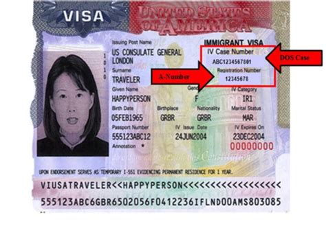 alien registration number on visa b1/b2