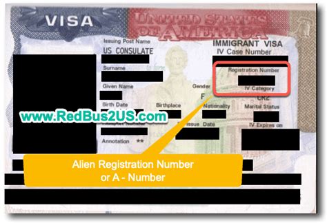 alien registration number on visa h1b