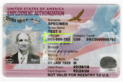 alien registration number work permit