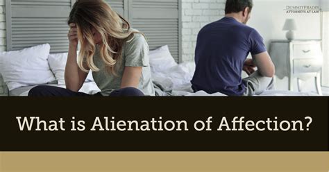 alienationÂ of affection lawyer