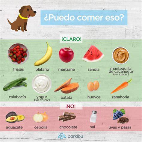 Que son los alimentos libres de granos para perros y gatos.