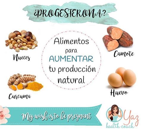 alimentos con progesterona natural