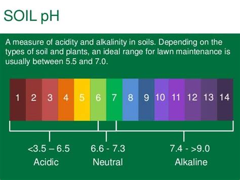 Alkaline Soil Ph Range