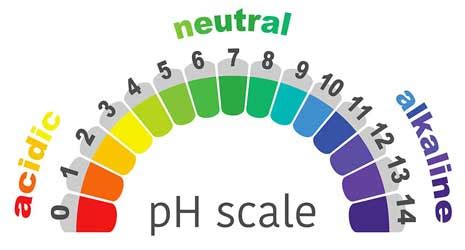Alkalinitas