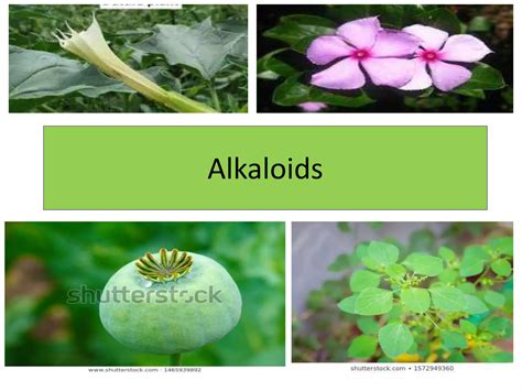 alkeloid