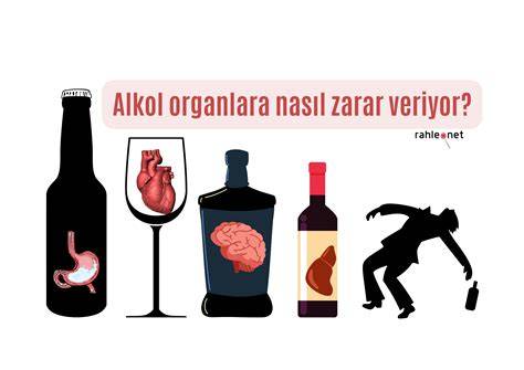 Alkol Etkileri
