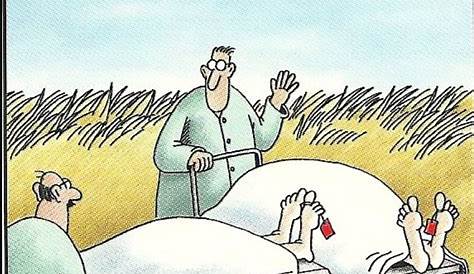 17 Best images about Far Side on Pinterest | Gary larson cartoons