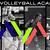 all in volleyball academy