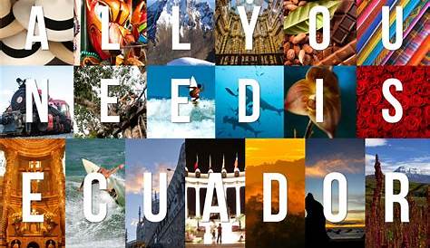 All You Need Is Ecuador Logo