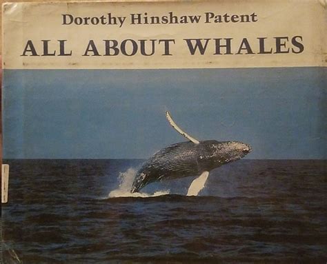 all about whales book