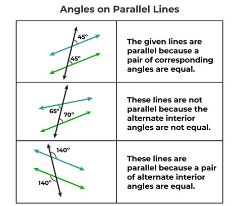 All Angles Formed By Parallel Lines And Transversals