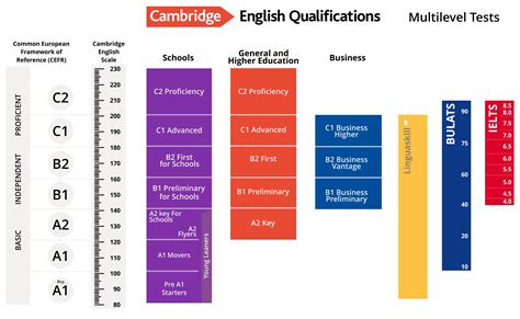 all cambridge courses