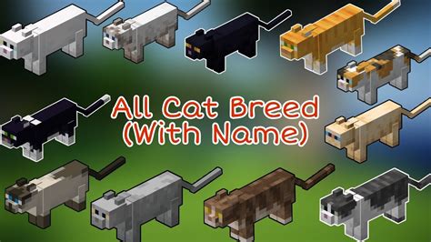 all cat breeds minecraft