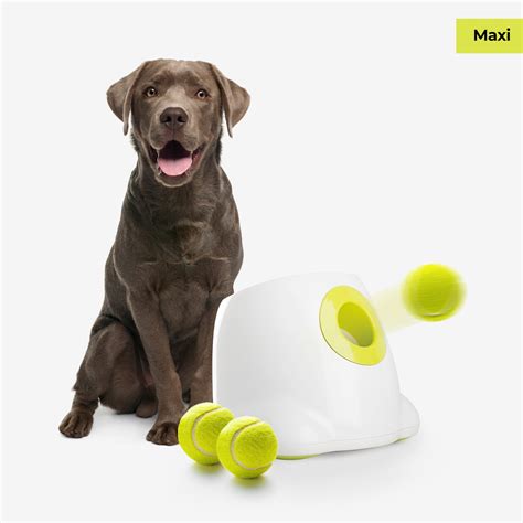 All For Paws Afp Interactive Hyper Fetch Maxi Ball