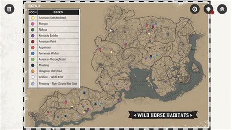 all horses rdr2 locations