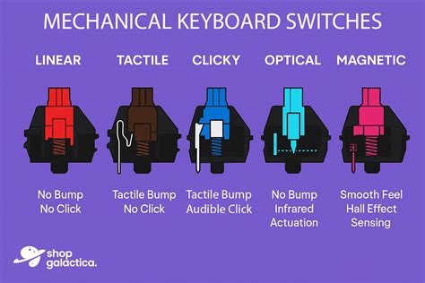 All Keyboard Switches Explained