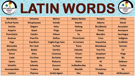 all latin