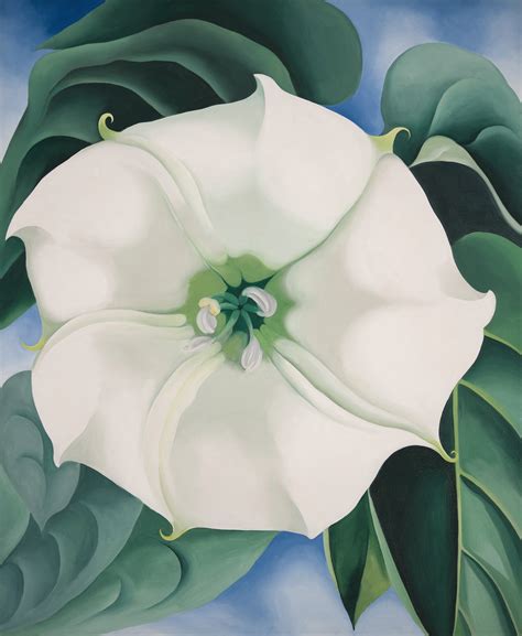 all of georgia o'keeffe art