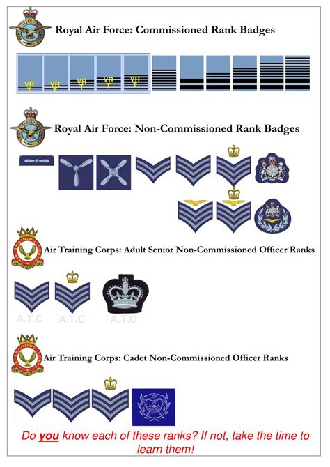all ranks in the raf