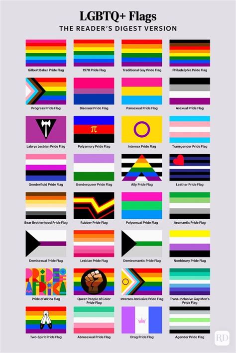 all sexuality flag meanings