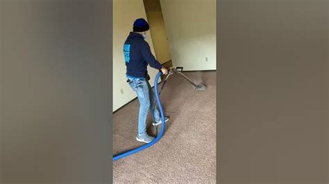 all star carpet cleaning fort worth