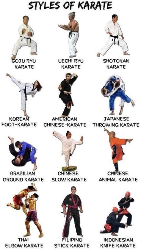 The Complete Guide To All Types Of Karate Styles And Schools