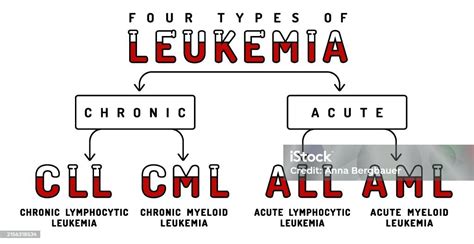 All Types Of Leukemia