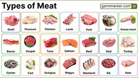 A Comprehensive Guide To All Types Of Meat For Your Kitchen