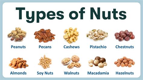 A Comprehensive Guide To All Types Of Nuts And Their Health Benefits