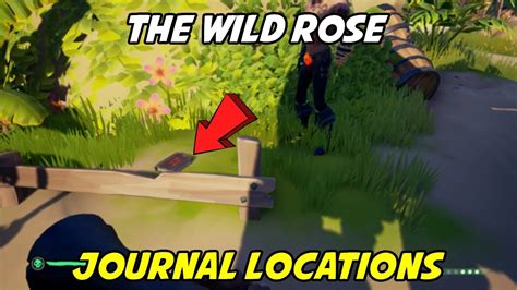 All Wild Rose Journals