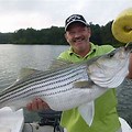 Allatoona Fishing Guide