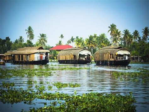 alleppey boat house online booking