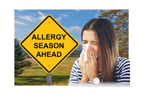 allergies nj today